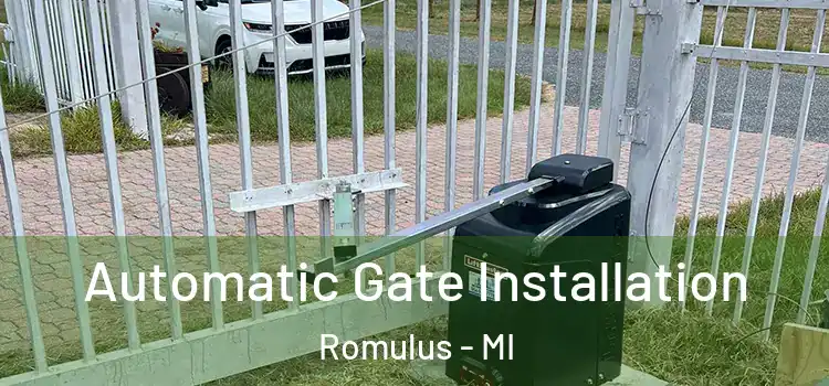 Automatic Gate Installation Romulus - MI