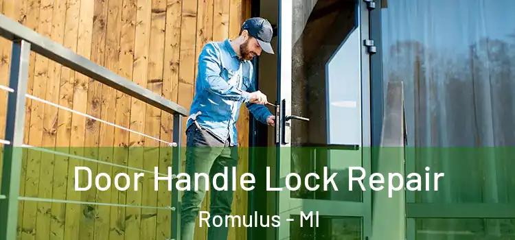 Door Handle Lock Repair Romulus - MI