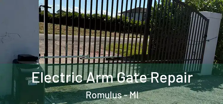 Electric Arm Gate Repair Romulus - MI