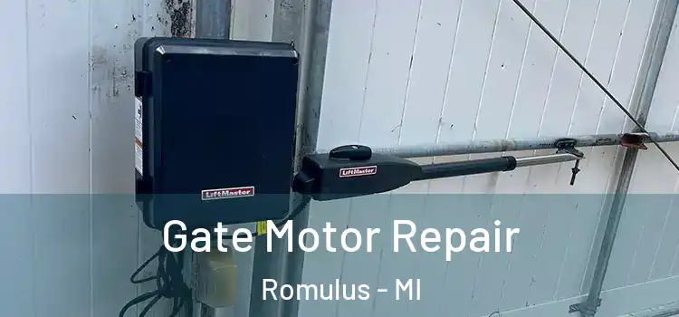 Gate Motor Repair Romulus - MI