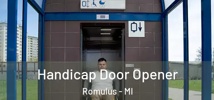 Handicap Door Opener Romulus - MI
