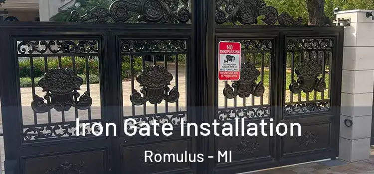 Iron Gate Installation Romulus - MI