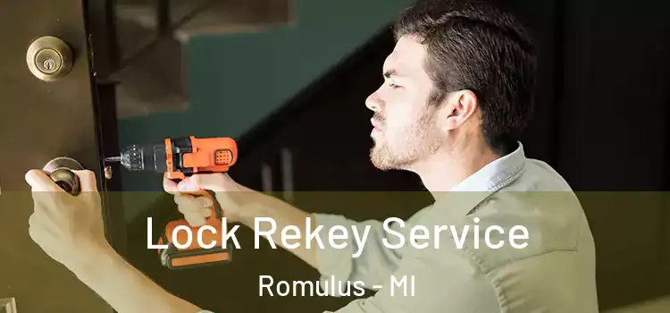 Lock Rekey Service Romulus - MI