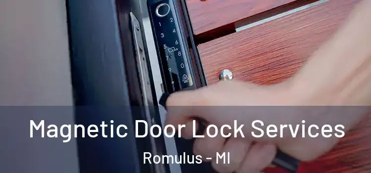 Magnetic Door Lock Services Romulus - MI