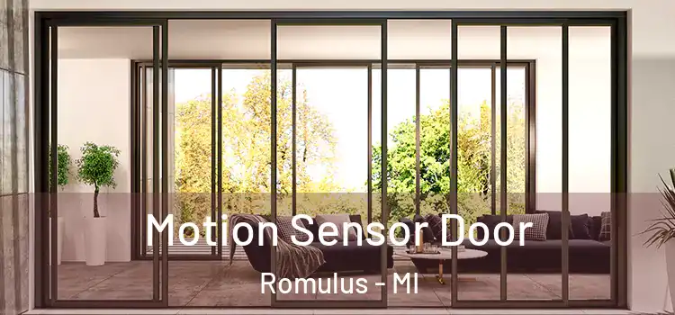 Motion Sensor Door Romulus - MI